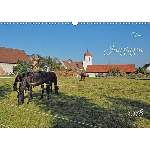 Ulm-Jungingen (Wandkalender 2018 DIN A3 quer), Klaus Rohwer