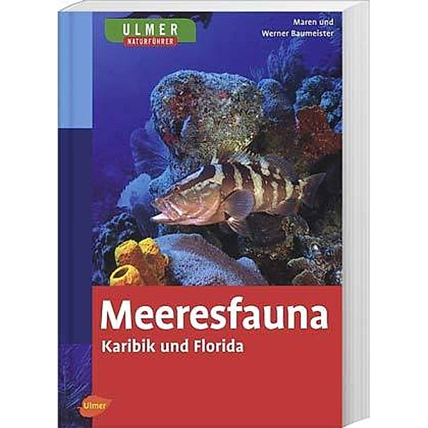 Ulmer Naturführer Meeresfauna Karibik und Florida, Werner Baumeister