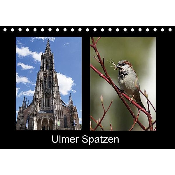 Ulmer Spatzen (Tischkalender 2017 DIN A5 quer), Kattobello