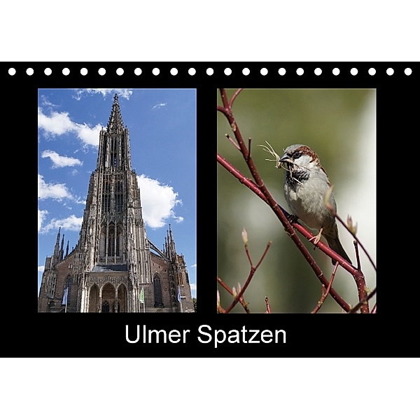 Ulmer Spatzen (Tischkalender 2018 DIN A5 quer), Kattobello