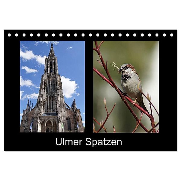Ulmer Spatzen (Tischkalender 2024 DIN A5 quer), CALVENDO Monatskalender, Kattobello
