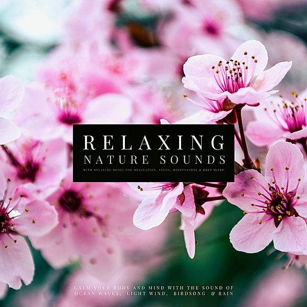 Ultimate Relaxing Nature Sounds with Relaxing Music for Meditation, Study, Mindfulness & Deep Sleep, Joshua Armentraut