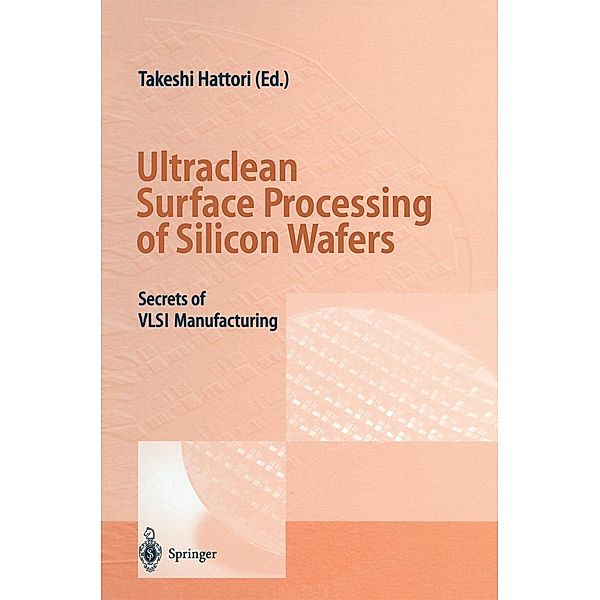 Ultraclean Surface Processing of Silicon Wafers