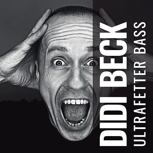 Ultrafetter Bass (Lp) (Vinyl), Didi Beck