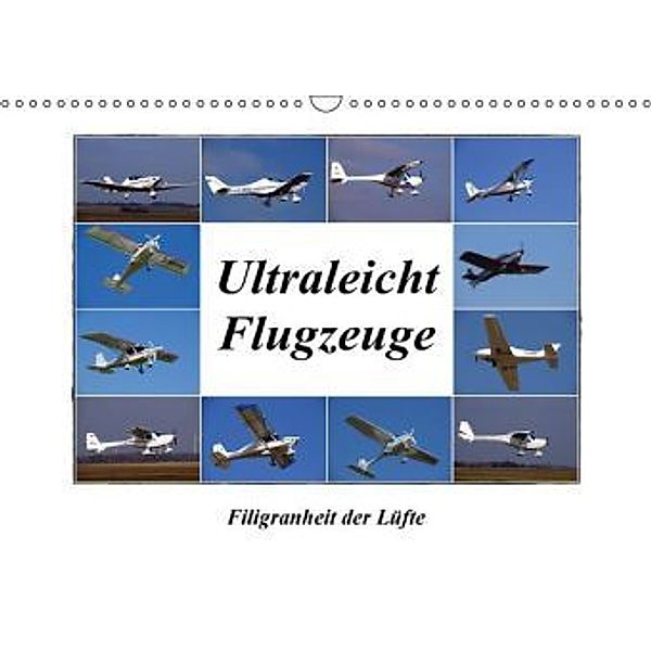 Ultraleichtflugzeuge - Filigranheit der Lüfte (Wandkalender 2017 DIN A3 quer), Heinz Peitz