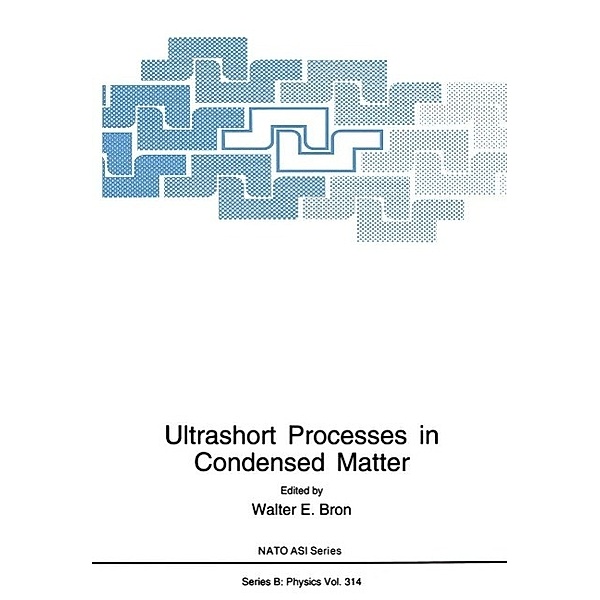 Ultrashort Processes in Condensed Matter / NATO Science Series B: Bd.314