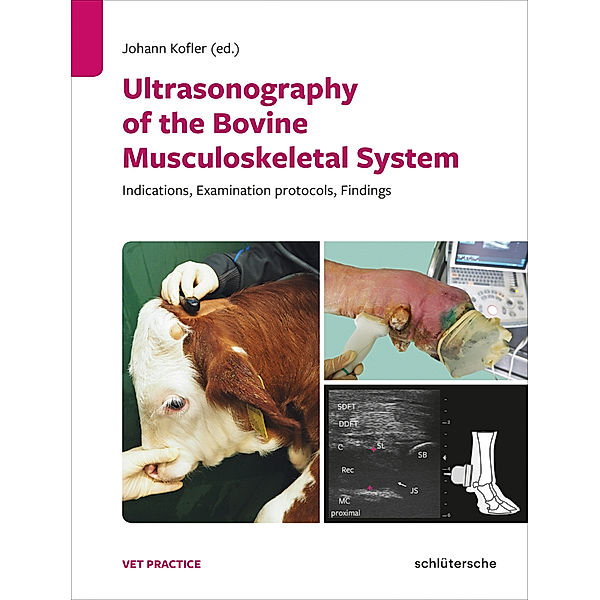 Ultrasonography of the Bovine Musculoskeletal System