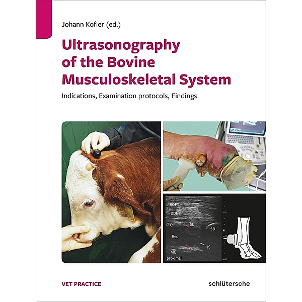 Ultrasonography of the Bovine Musculoskeletal System / Vetpraxis
