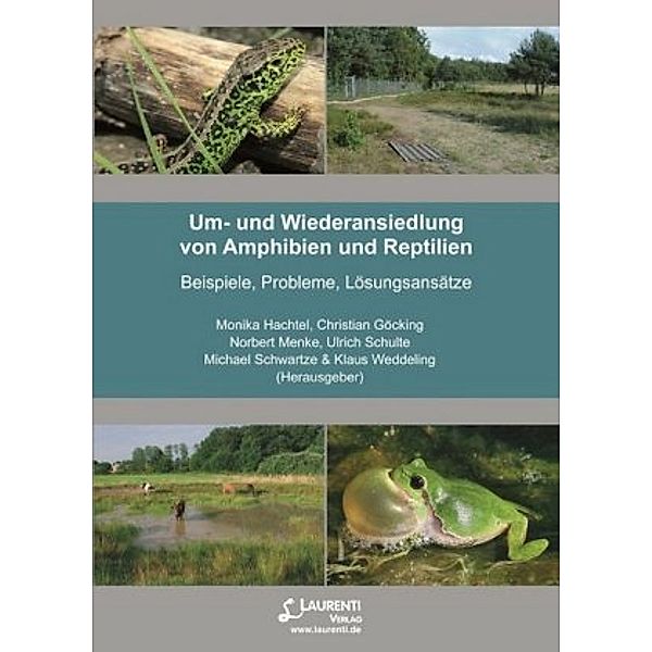 Um- und Wiederansiedlung von Amphibien und Reptilien