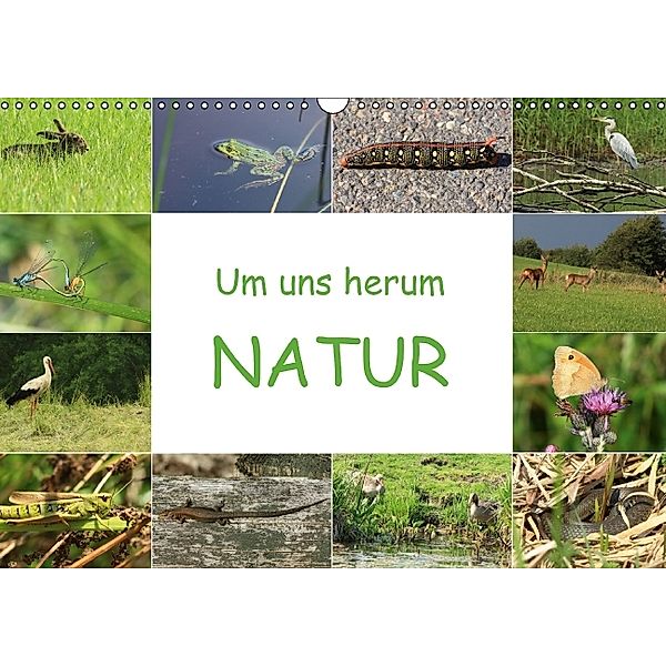 Um uns herum - NATUR (Wandkalender 2014 DIN A4 quer)