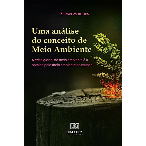 Uma análise do conceito de meio ambiente, Elieser Marques