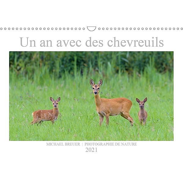 Un an avec des chevreuils (Calendrier mural 2021 DIN A3 horizontal), Michael Breuer