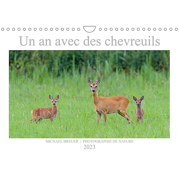 Un an avec des chevreuils (Calendrier mural 2023 DIN A4 horizontal), Michael Breuer