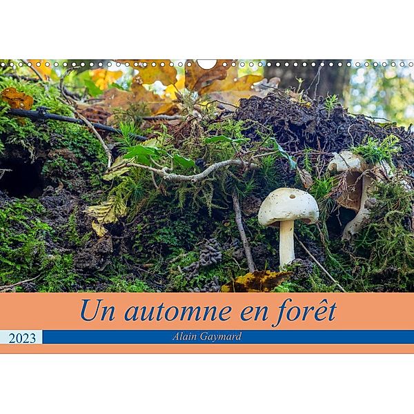 Un automne en forêt (Calendrier mural 2023 DIN A3 horizontal), Alain Gaymard