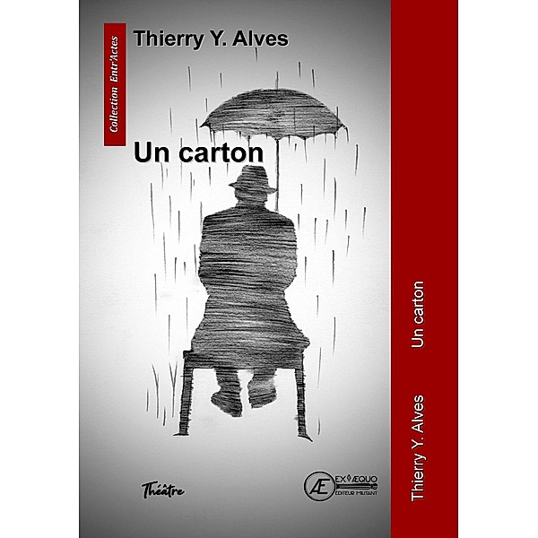 Un carton, Thierry Y. Alves