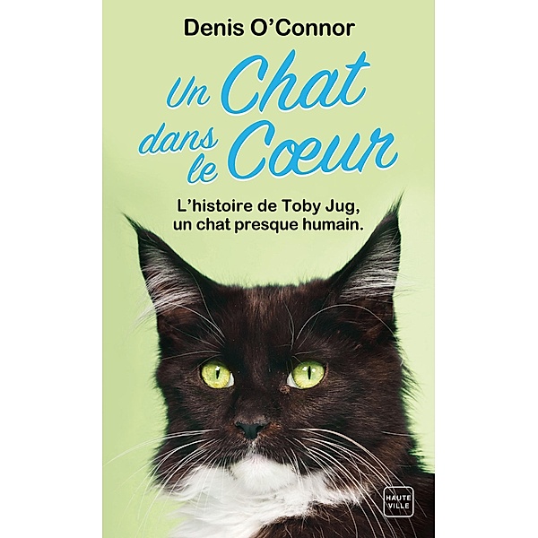 Un chat dans le coeur / Hauteville Chats, Denis O'Connor