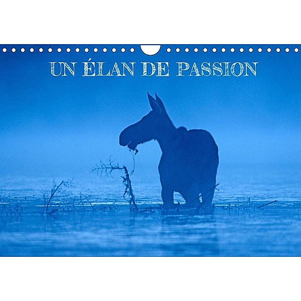 UN ÉLAN DE PASSION (Calendrier mural 2023 DIN A4 horizontal), Philippe Henry