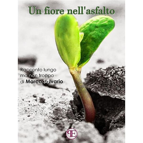 Un fiore nell'asfalto, Marco Salvario