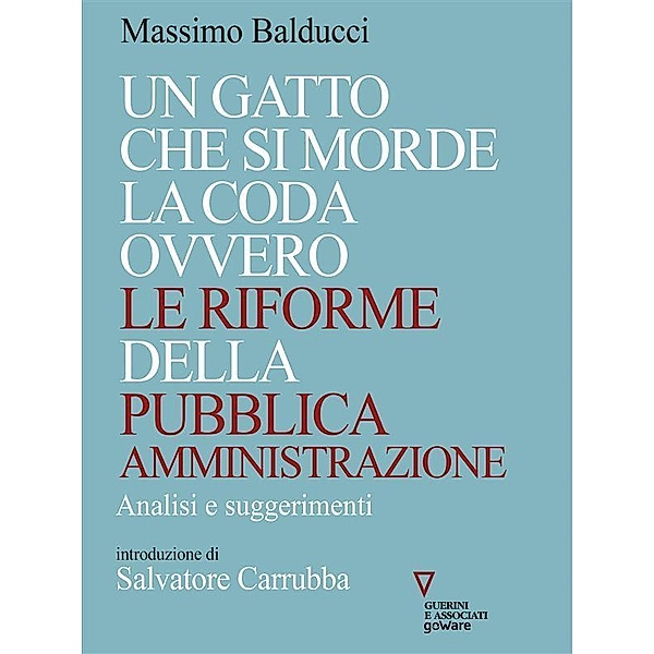Un gatto che si morde la coda ovvero le riforme della pubblica amministrazione, Massimo Balducci