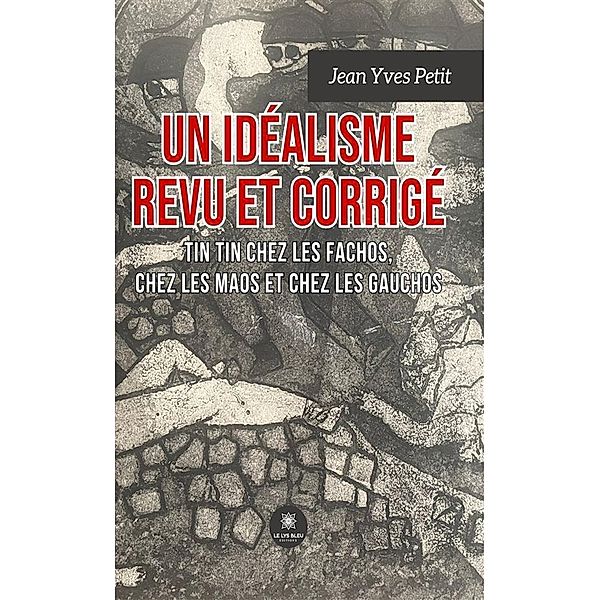 Un idéalisme revu et corrigé, Jean Yves Petit