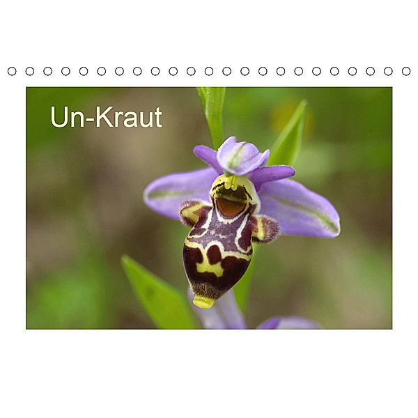 Un-Kraut (Tischkalender 2020 DIN A5 quer), Wolfgang Bernard / Varphoto