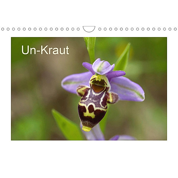 Un-Kraut (Wandkalender 2020 DIN A4 quer), Wolfgang Bernard / Varphoto