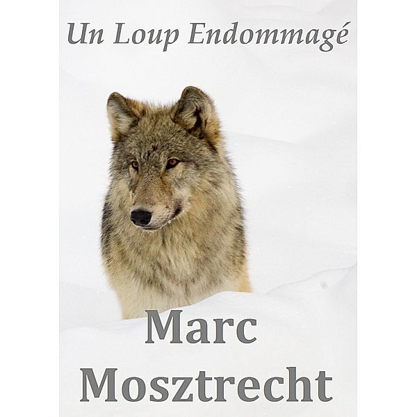 Un Loup Endommagé, Marc Mosztrecht