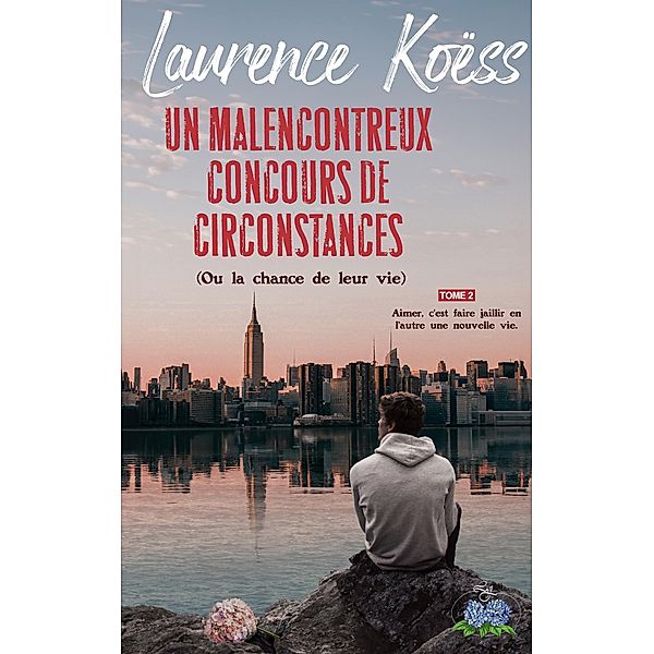 Un malenconcontreux concours de circonstances (ou la chance de leur vie) / Un malencontreux concours de circonstances (ou la chance de leur vie) Bd.2, Laurence Koëss