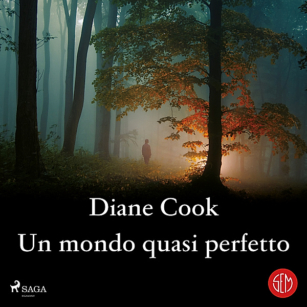 Un mondo quasi perfetto, Diane Cook