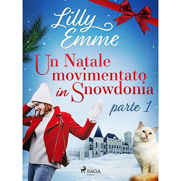 Un Natale movimentato in Snowdonia - parte 1 / Snowdonia Bd.1, Lilly Emme