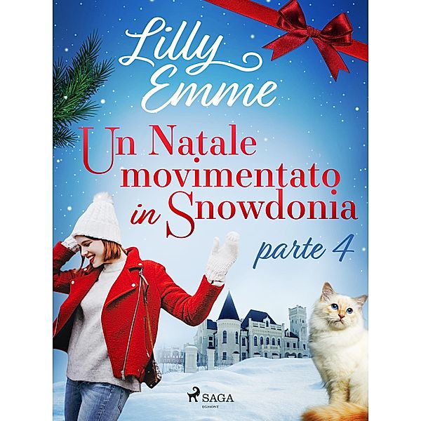 Un Natale movimentato in Snowdonia - parte 4 / Snowdonia Bd.4, Lilly Emme