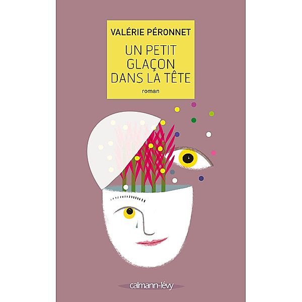 Un petit glaçon dans la tête / Littérature Française, Valérie Péronnet