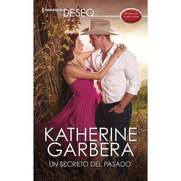 Un secreto del pasado / Miniserie Deseo, Katherine Garbera