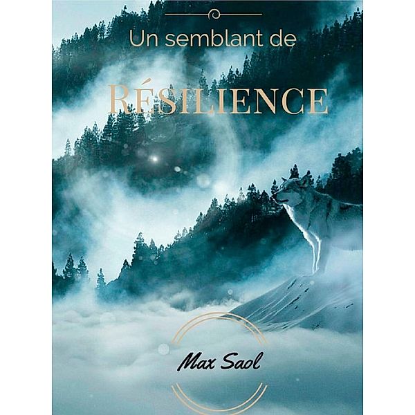 Un semblant de résilience, Max Saol