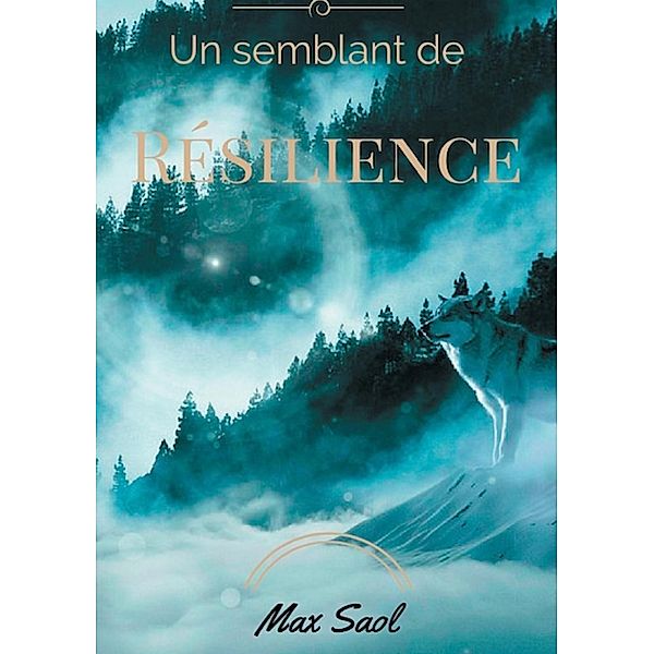 Un semblant de résilience, Max Saol