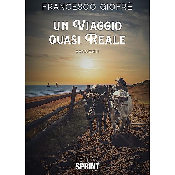 Un viaggio quasi reale, Francesco Giofré