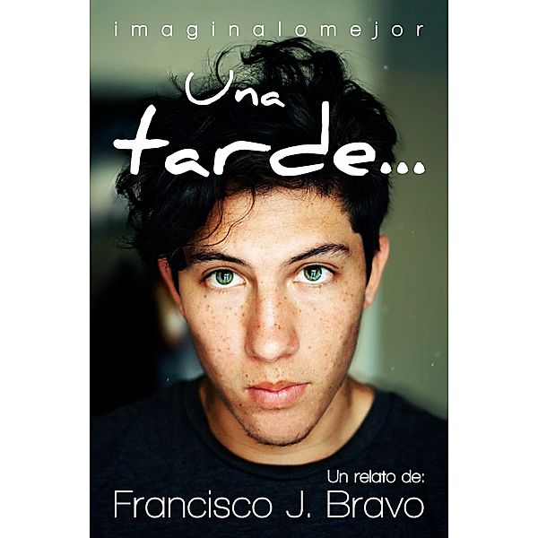 Una tarde, Francisco J. Bravo