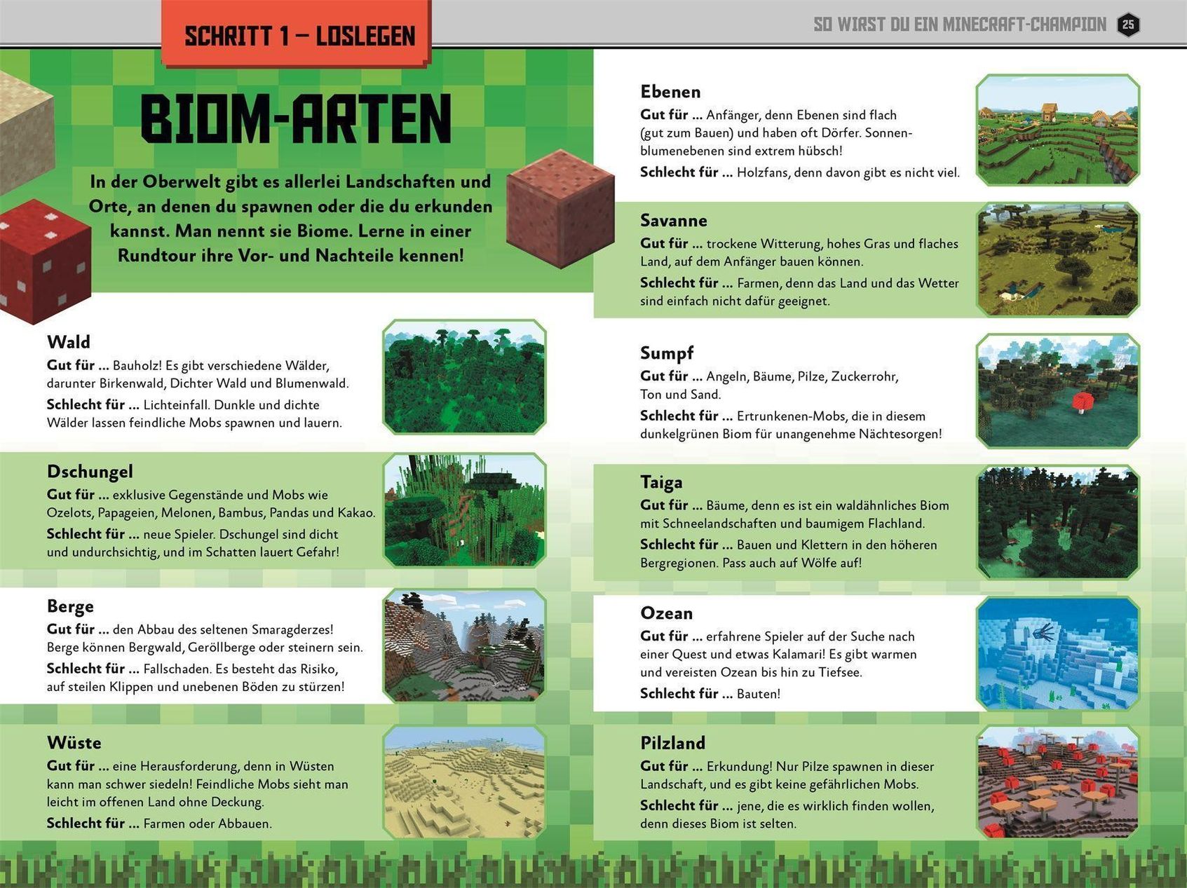 Unabhängig und inoffiziell: Minecraft Gewinner Guide Buch jetzt online bei  Weltbild.ch bestellen