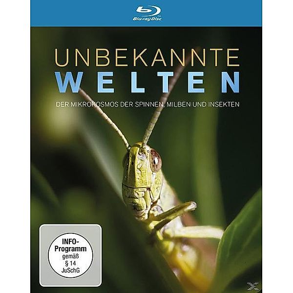 Unbekannte Welten - Der Mikrokosmos der Spinnen, Milben und Insekten, Wyss, Urs