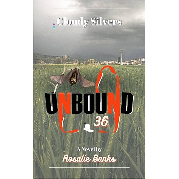 Unbound #36: Cloudy Silvers / Unbound, Rosalie Banks
