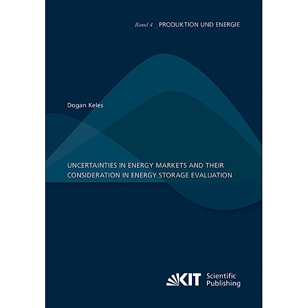 Uncertainties in energy markets and their consideration in energy storage evaluation, Dogan Keles