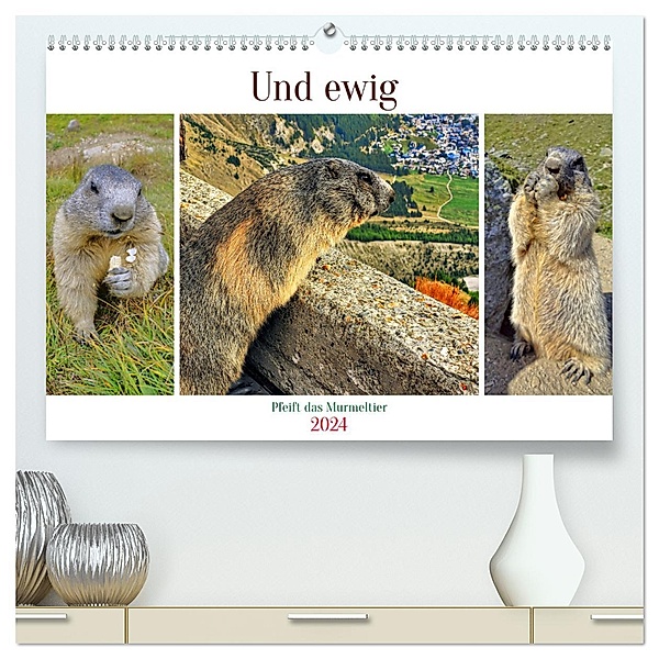 Und ewig pfeift das Murmeltier (hochwertiger Premium Wandkalender 2024 DIN A2 quer), Kunstdruck in Hochglanz, Calvendo, Susan Michel