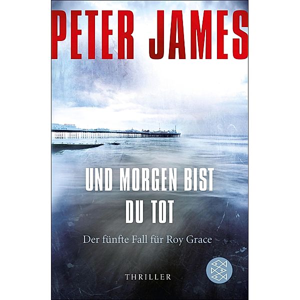 Und morgen bist du tot / Roy Grace Bd.5, Peter James