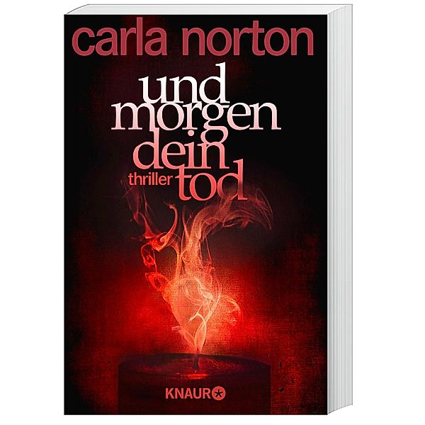 Und morgen dein Tod / Reeve LeClaire Bd.2, Carla Norton