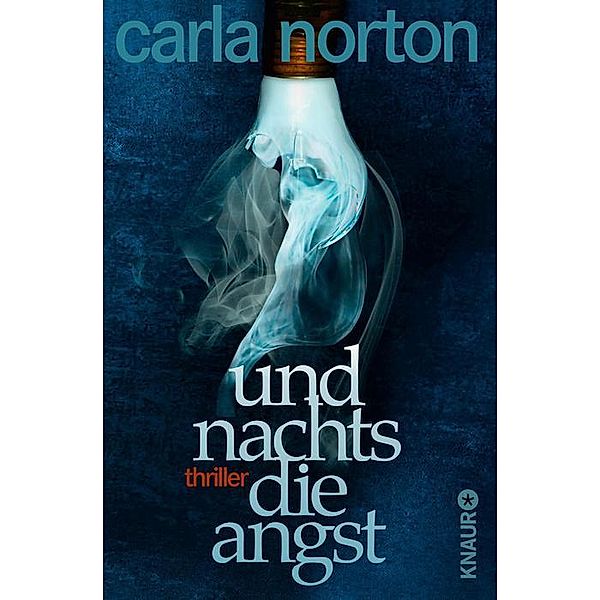 Und nachts die Angst / Reeve LeClaire Bd.1, Carla Norton