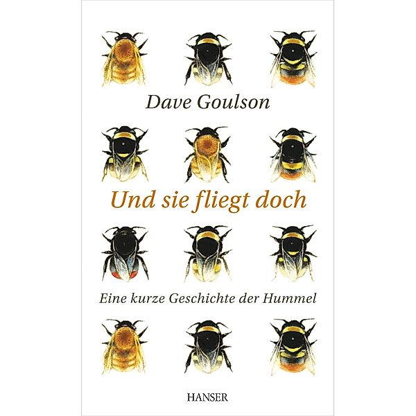 Und sie fliegt doch, Dave Goulson