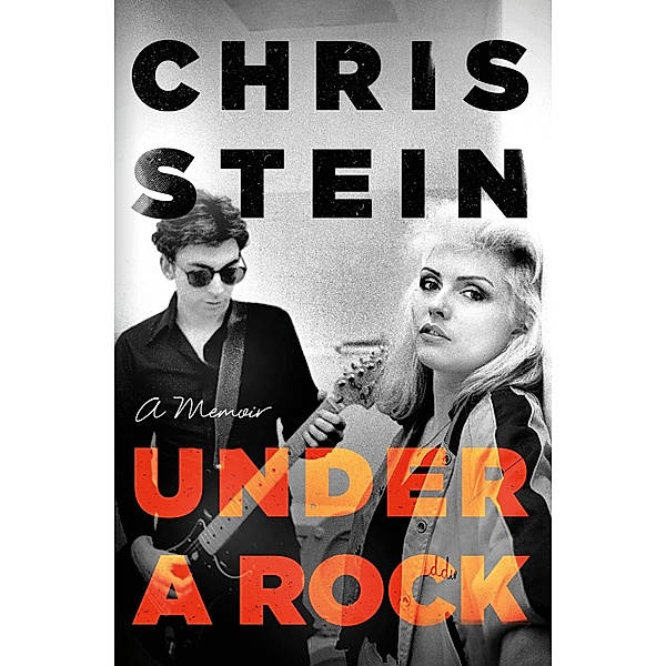 Under A Rock, Chris Stein