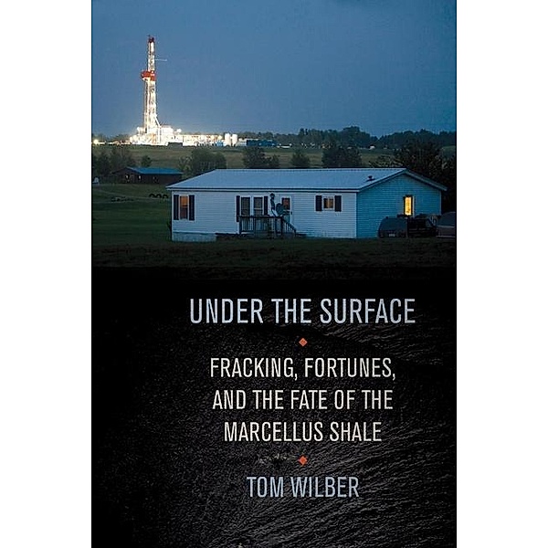 Under the Surface, Tom Wilber