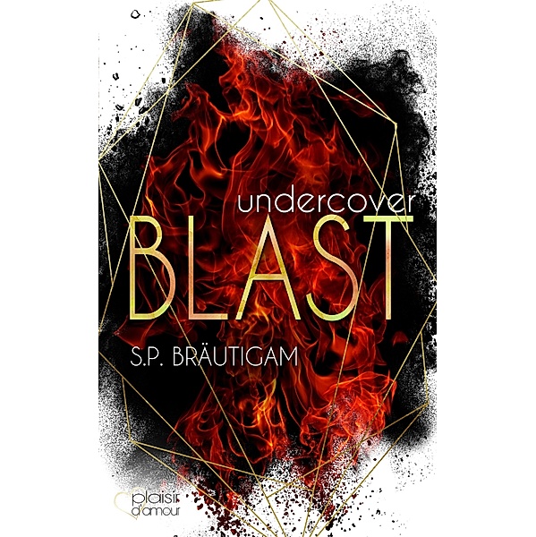 Undercover: Blast / Undercover Bd.3, S. P. Bräutigam