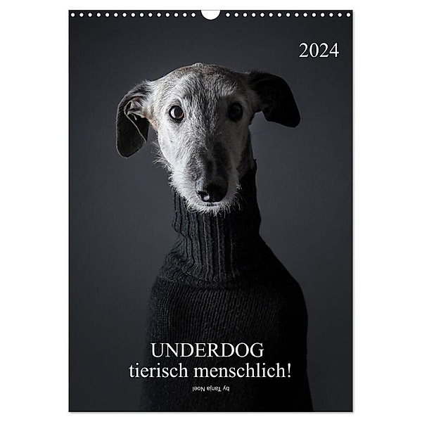 UNDERDOG - Windhundportraits (Wandkalender 2024 DIN A3 hoch), CALVENDO Monatskalender, Tanja Noel